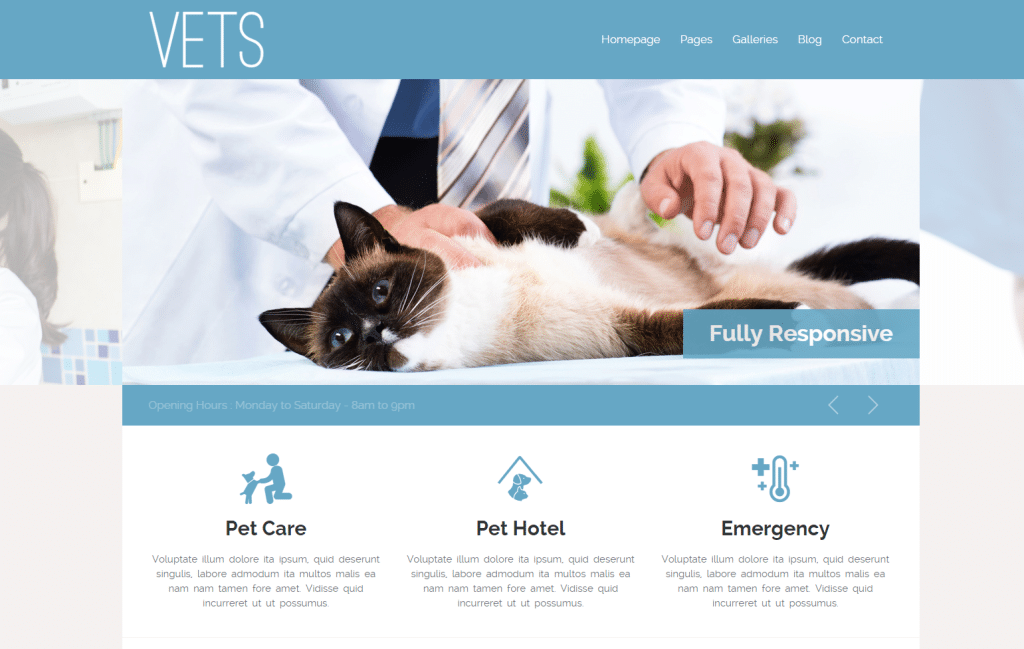 VETS