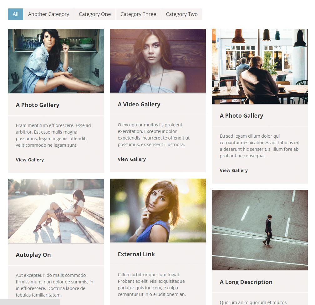 DV Gallery